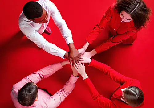 Non solo un e-commerce: un partner affidabile