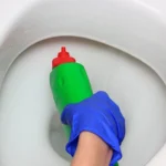 Pulizia del water