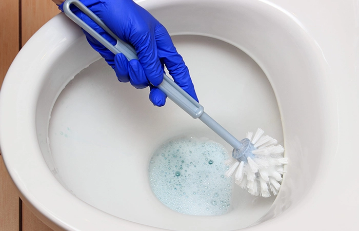 La spazzola con un buon disincrostante è una fedele alleata nella pulizia del water